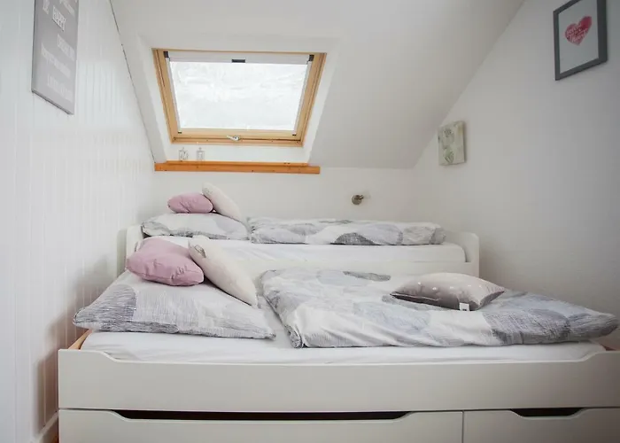 Apartment Wohlfuehloase Am Bikepark Und Skigebiet, 2 Schlafzimmer, Abschliessbarer Fahrradkeller Winterberg